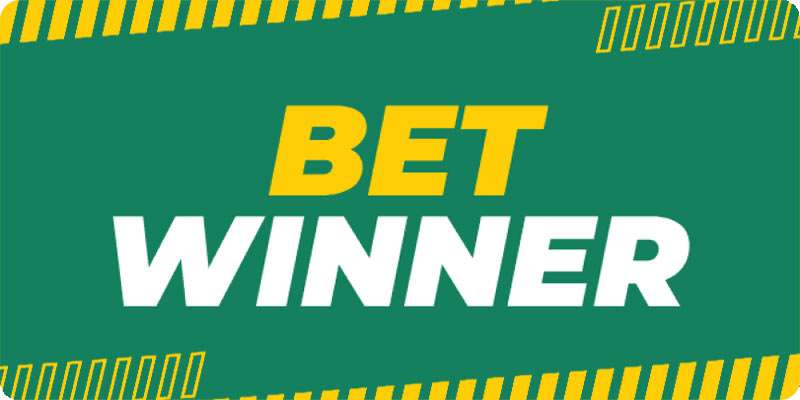 Experience the Excitement of Sports Betting with Betwinner