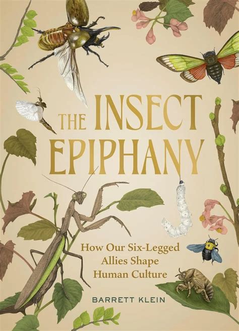 The Epiphany 2025
